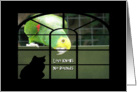 Love Knows No Bounds-Parrot-Cat Silhouette card