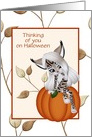 Thinking Of You On Halloween Girl In Leopard Costume On Pumpkin card