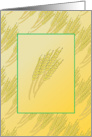 Blank Autumn Wheat Design With Golden Yellow Colors card