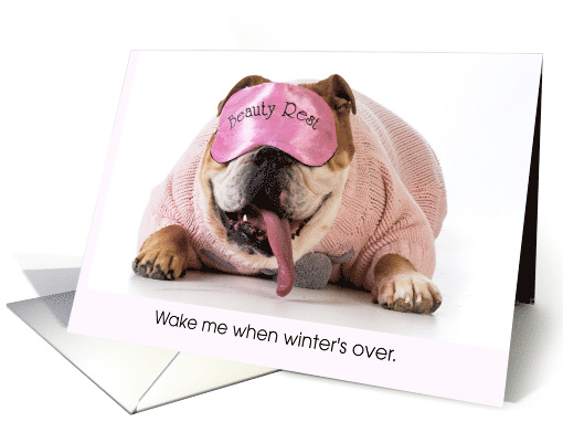 Wake Me When Winter's Over Bulldog In Pink Beauty Mask card (1192008)