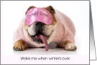 Wake Me When Winter’s Over Bulldog In Pink Beauty Mask card