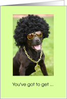 Get Your Mojo Back With Cool Black Dog card