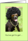 Get Your Mojo Back With Cool Black Dog card