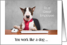 Employee Appreciation Working Hard As A Dog At Desk Red Tie And Jacket card