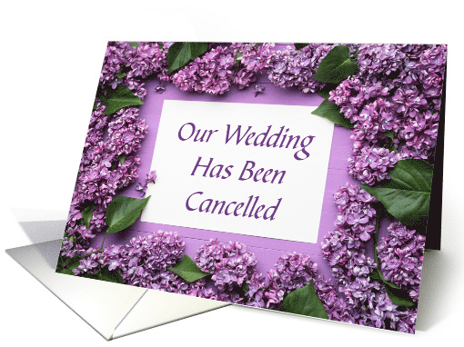 Apologies For Cancelled Wedding With Purple Flowers card (1219376)