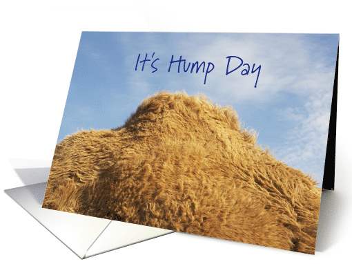 It's Hump Day With Camels Hump Halfway Through The Week card (1248900)