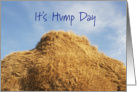 It’s Hump Day With Camels Hump Halfway Through The Week card