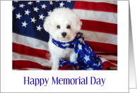 Memorial Day Card with Patriotic Dog card