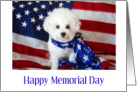 Memorial Day Card with Patriotic Dog card