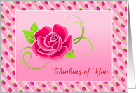 Thinking Of You Rose Design-Custom card