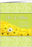 Announcement-Cancelled Wedding With Daises-Custom card