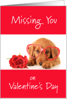 Missing You On Valentine’s Day Puppy In Red Glasses With Rose card