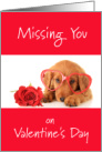 Missing You On Valentine’s Day Puppy In Red Glasses With Rose card