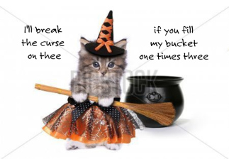 Kitty Witches Spell...