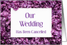 Apologies For Cancelled Wedding With Purple Flowers card