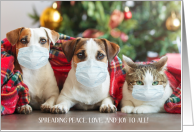 Covid Christmas Peace Love And Joy To Animals In Masks card
