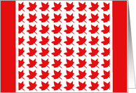 Canada Day Maple Leaves card