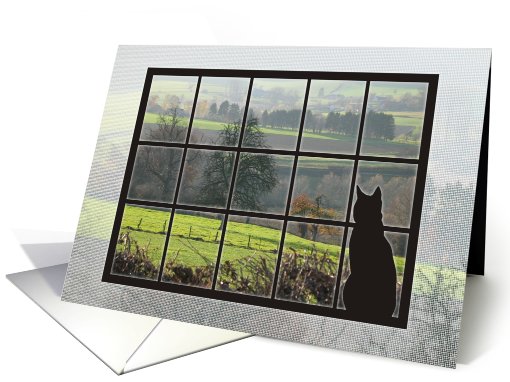 Window Cat-Landscape card (609719)