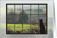 Window Cat-Landscape card