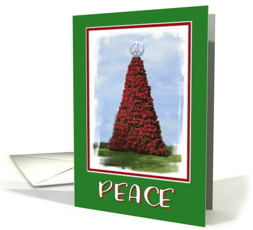Christmas Poinsettia Peace Sign-PEACE card (698261)