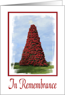 In Remembrance On Christmas-Poinsettia Plant-Christmas Tree-Star card