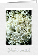 Beautiful White Rose...