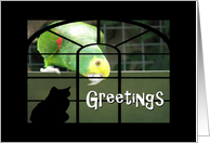 Greetings-Parrot-Cat Silhouette card