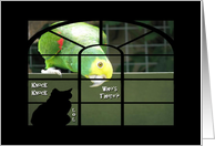 Funny Knock Knock-Parrot-Cat Silhouette card