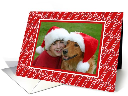 Candy Canes Christmas Photo card (850108)