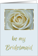 Be My Bridesmaid...