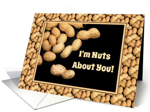 I'm Nuts About You-Anniversary Card For Spouse-Cute Humor card