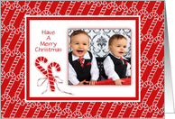 Merry Christmas-Candy Canes-Custom-Photo Card