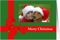 Merry Christmas-Poinsettias-Custom-Photo Card