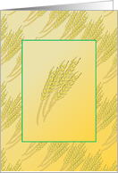 Blank Autumn Wheat Design With Golden Yellow Colors card