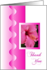 Thank You Pink Hibiscus card