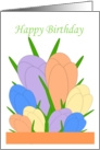 Crocus Birthday Card