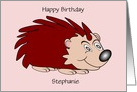 Hedgehog Custom Birthday card