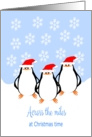 Penguins Across The Miles Christmas card