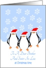 Brother And Sister-In-Law Christmas Penguins In The Snow card