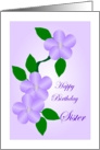 Birthday Sister Purple Flowers card