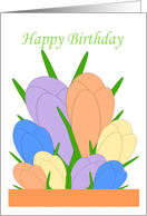 Crocus Birthday Card