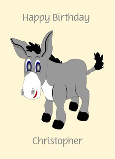 Donkey Custom...