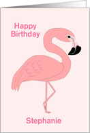 Flamingo Custom...