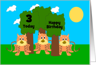 Funny Tigers Custom Age Birthday card