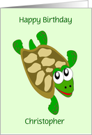 Funny Turtle Custom Name Birthday card