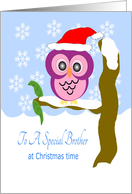 Owl Brother Christmas card