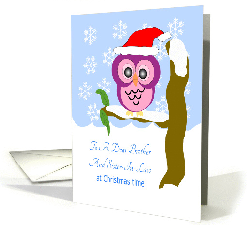 Christmas Owl Brother And Sister-In-Law Christmas card (1393118)