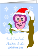 Christmas Owl Brother And Sister-In-Law Christmas card