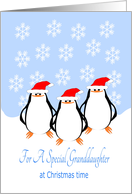 Penguins Granddaughter Christmas card