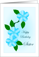 Birthday Sister Blue...